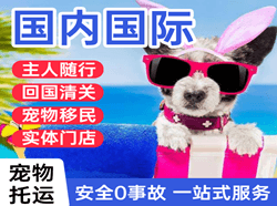 鞍山机场托运国际宠物托运 【国